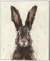 Framed European Hare I