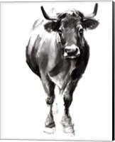 Framed Charcoal Cattle II