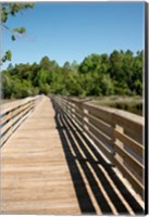 Framed Alabama, Theodore Bayou Boardwalk of the Bellingrath gardens