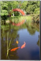 Framed Alabama, Theodore Bridge and Koi Pond at Bellingrath Gardens