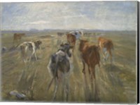 Framed Long Shadows, Cattle on the Island of Saltholm, c. 1890