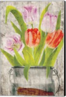Framed Tulips III
