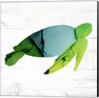 Framed 'Sea Turtle' border=
