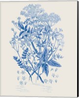 Framed 'Flowering Plants I Mid Blue' border=