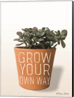Framed Succulent Grow Your Own Way