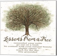 Framed Lessons From a Tree