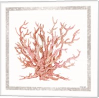 Framed Pink Coastal Coral II