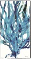 Framed Soft Seagrass in Blue 2