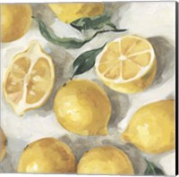 Framed Fresh Lemons II