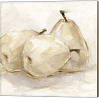 Framed White Pear Study II