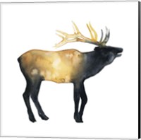 Framed Elk Aglow II