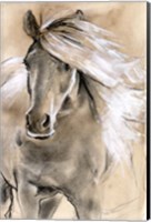 Framed Sketched Horse I