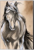 Framed Sketched Horse II