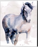 Framed Horse in Watercolor I