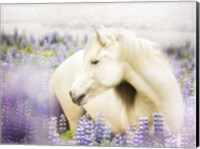Framed Horse in Lavender III