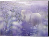 Framed Horse in Lavender IV