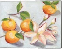 Framed Tangerine Blossoms I
