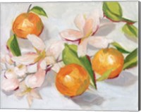 Framed Tangerine Blossoms II