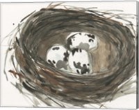 Framed Nesting Eggs I