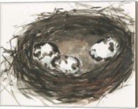 Framed Nesting Eggs II