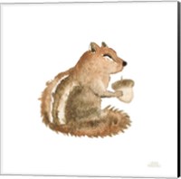 Framed Woodland Whimsy Squirrel