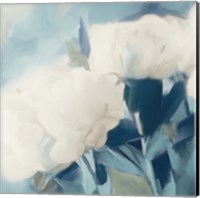 Framed 'White Roses II' border=