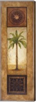 Framed Sago Palm