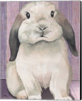 Framed 'Bunny I' border=