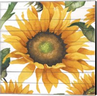 Framed Happy Sunflower I