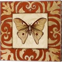 Framed 'Moroccan Butterfly II' border=