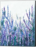 Framed Lavender Garden II