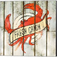 Framed 'Fresh Catch Square' border=