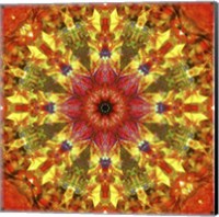 Framed Colorful Kaleidoscope 9