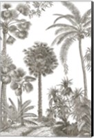 Framed Palm Oasis I