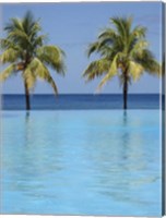 Framed Infinity Pool Surrounded By Palm Trees