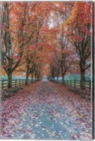 Framed Autumn Country Lane