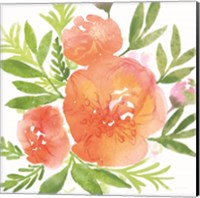 Framed Peachy Floral I