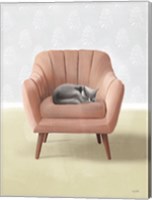 Framed Nap Time Gray Cat