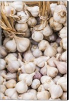 Framed Farmers Market - Garlic