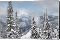 Framed North Cascades in Winter I