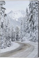 Framed Mount Baker Highway II