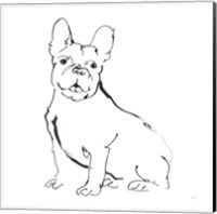 Framed Line Dog French Bulldog II