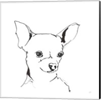 Framed 'Line Dog Chihuahua' border=