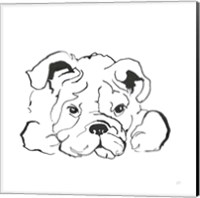 Framed Line Dog Bulldog II