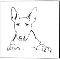 Framed Line Dog Bull Terrier