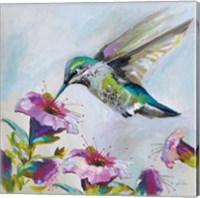 Framed 'Hummingbird II Florals' border=