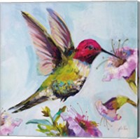 Framed Hummingbird I Florals