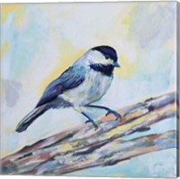 Framed Chickadee