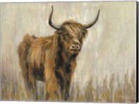 Framed Highland Mountain Cow