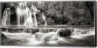 Framed Waterfall in a forest (BW)
